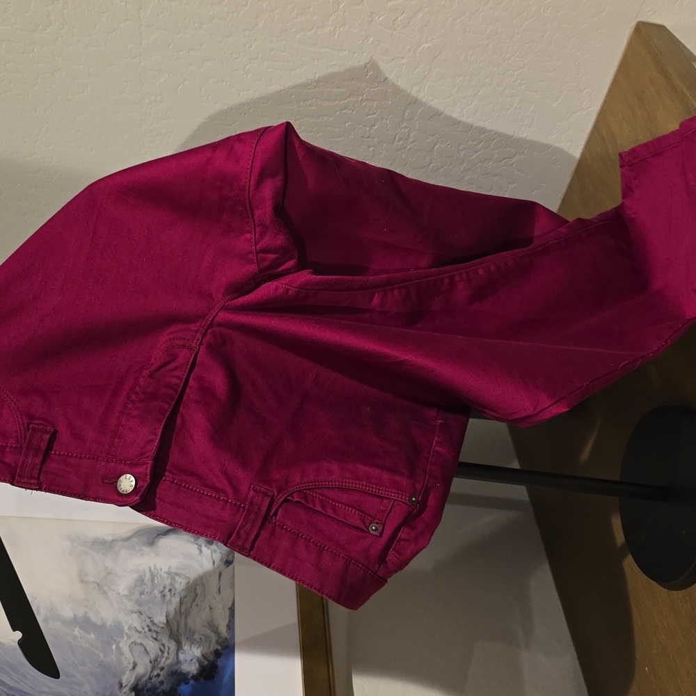 Joe Women's Fuchsia Jeans